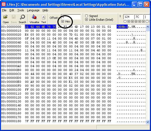 Determine File Type Using HEX Editor screenshot